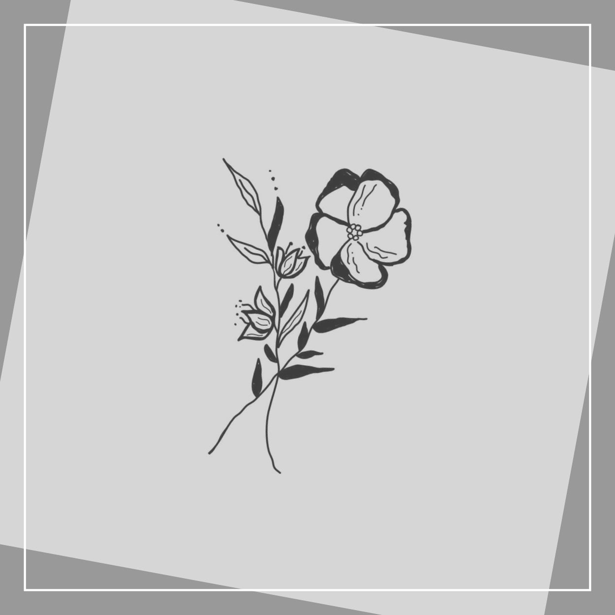 Blume 3