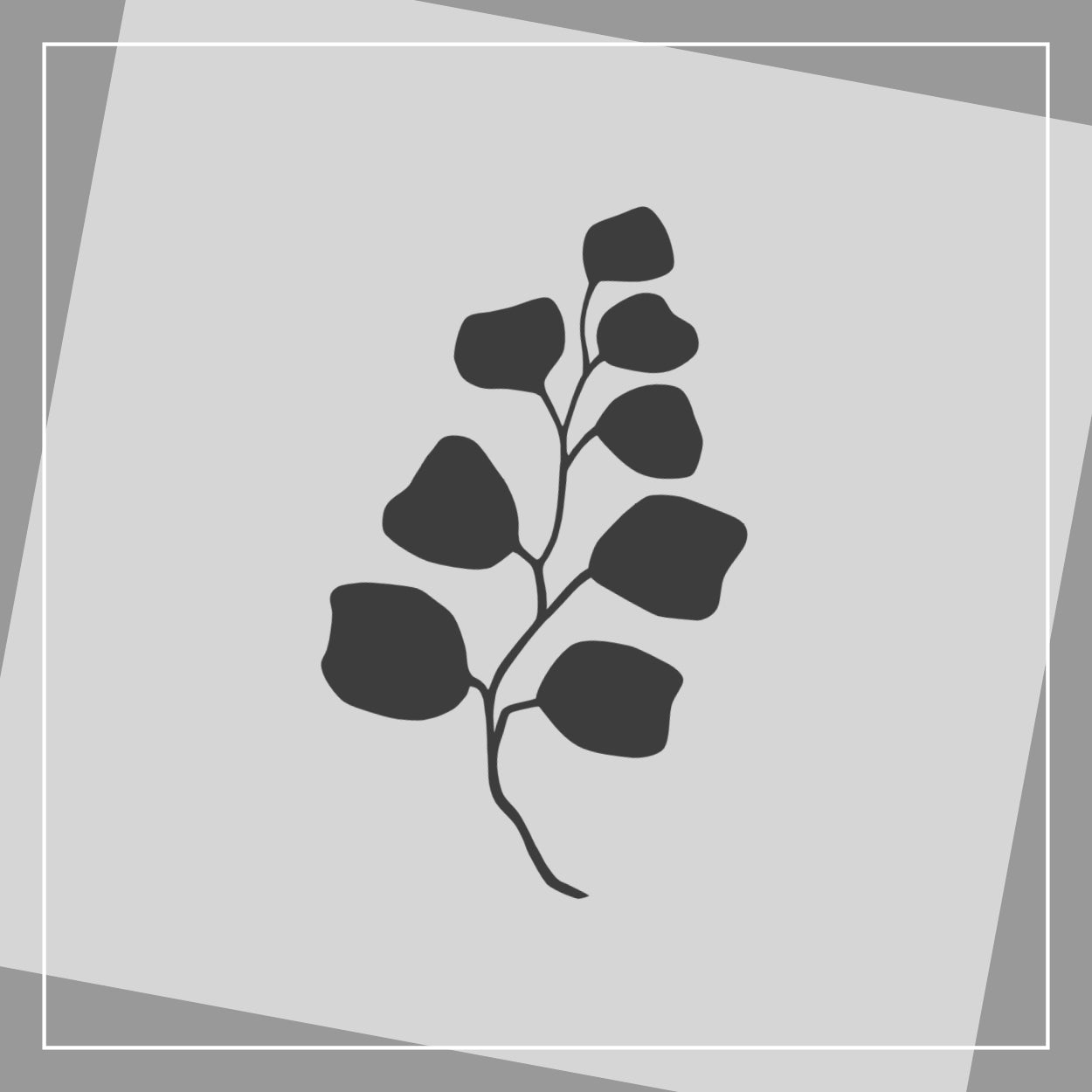 Eukalyptus