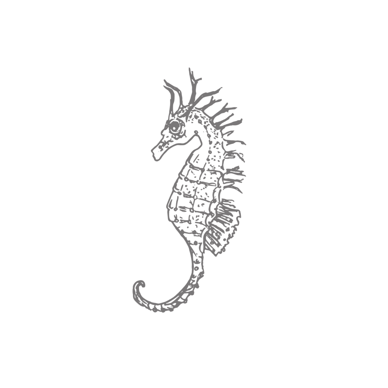 Seepferdchen