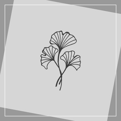 Ginkgo