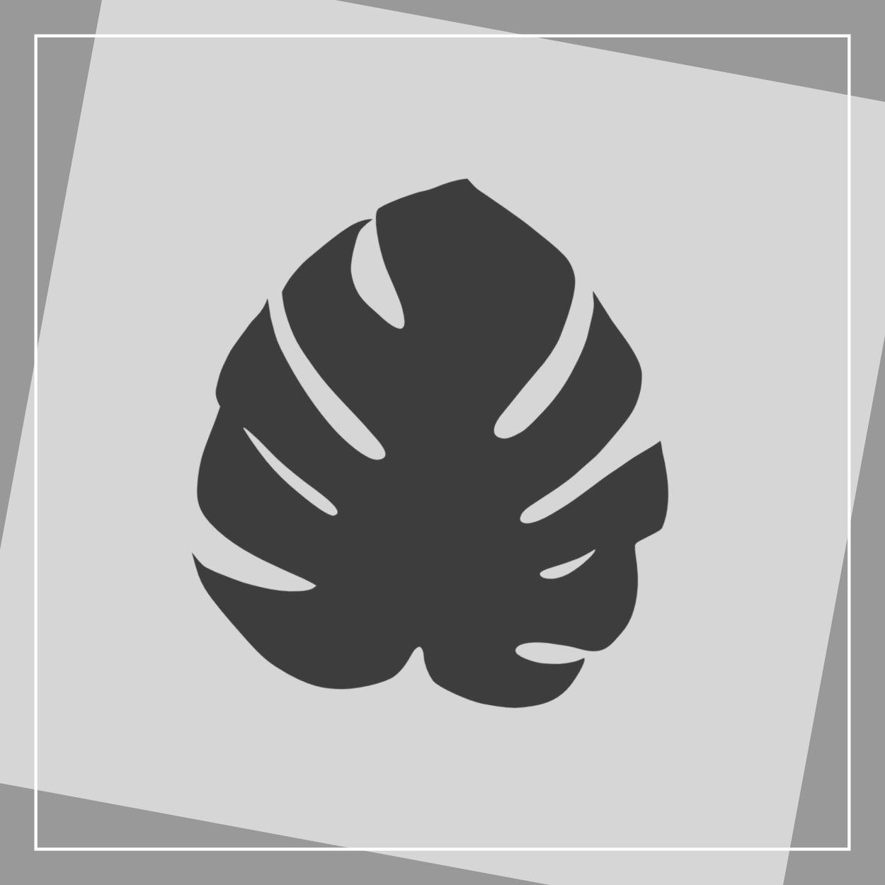 Monstera Fläche