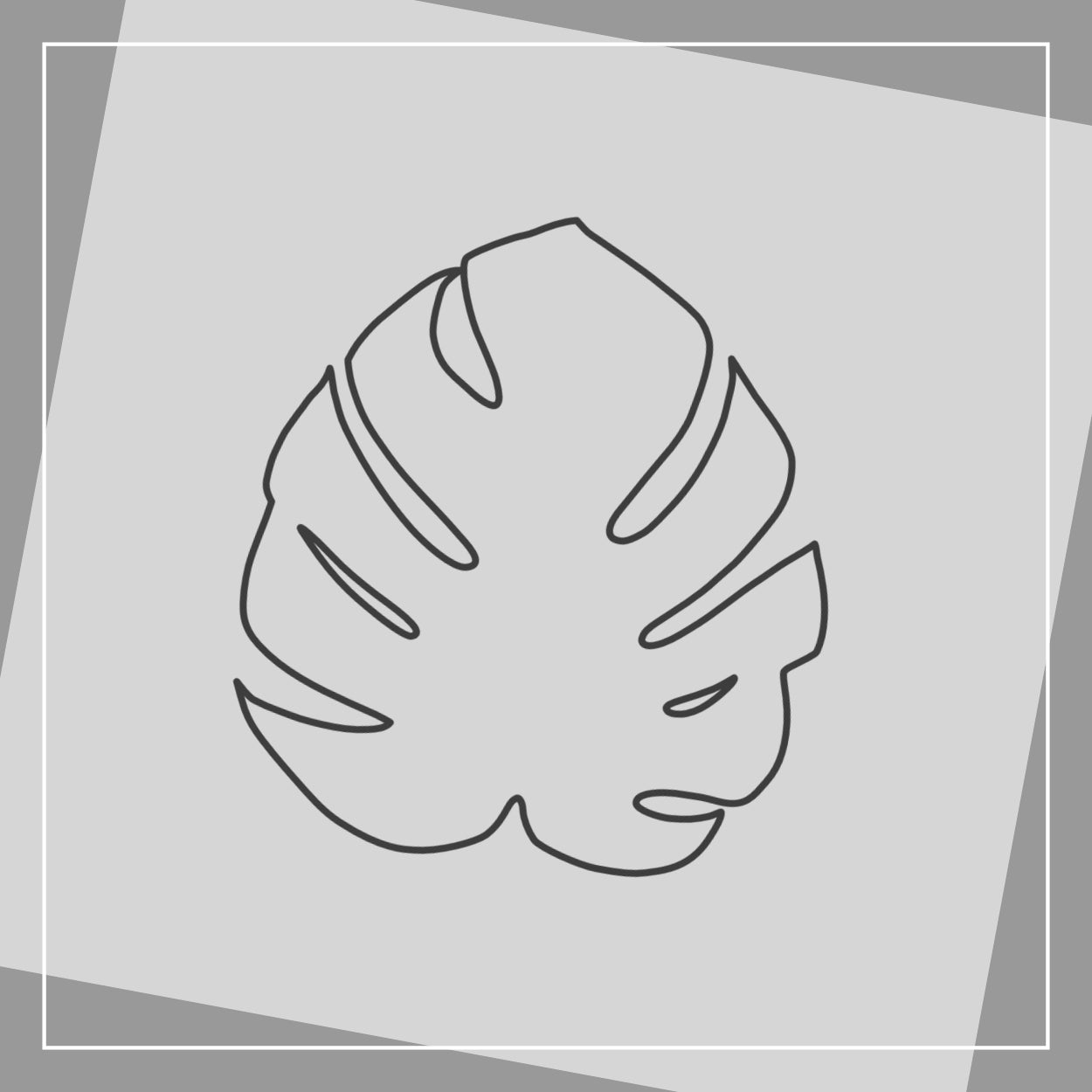 Monstera Kontur
