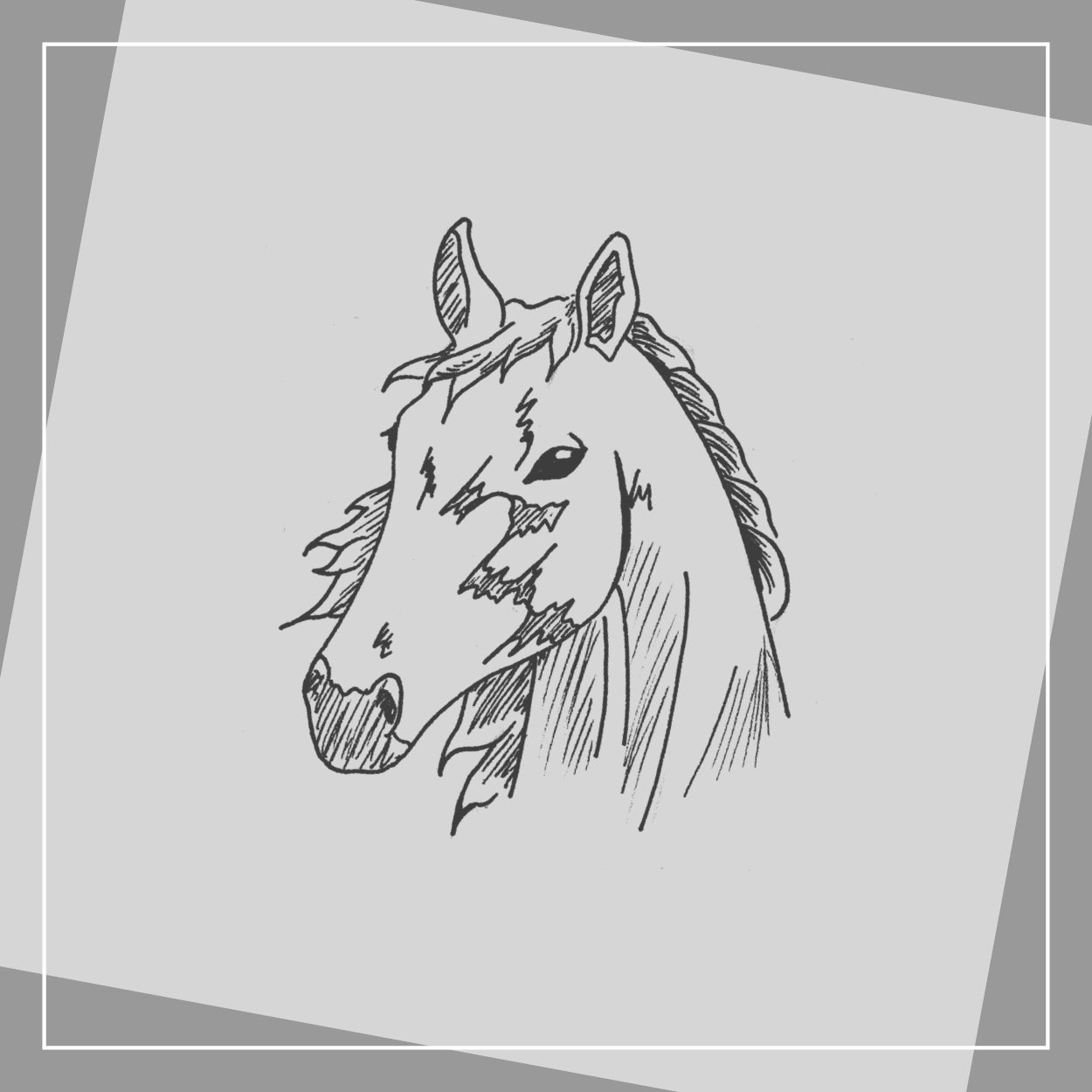Pferd