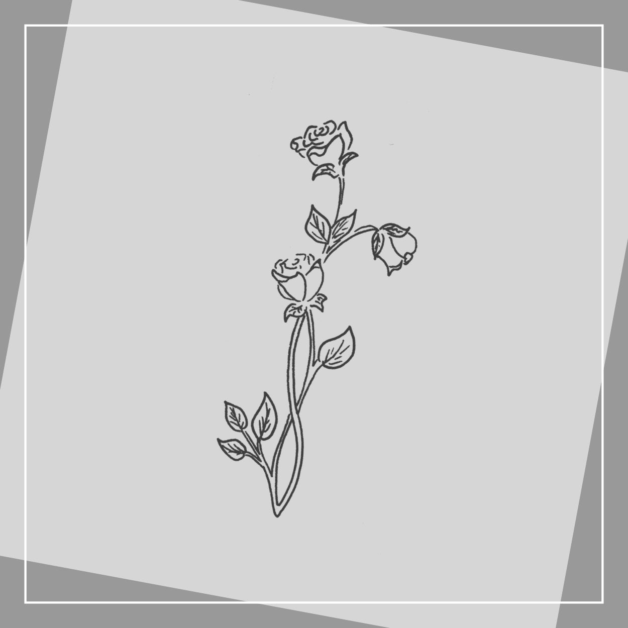 Rosenranke