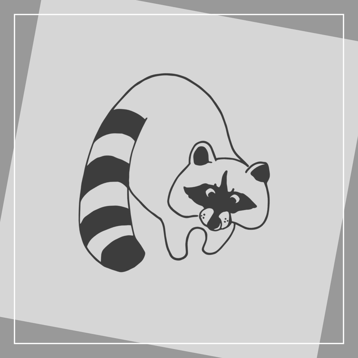 Waschbär
